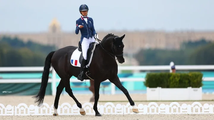 Una jinete con uniforme azul marino, pantalones blancos y casco azul marino está montanda un caballo de color marrón oscuro en un evento de para ecuestre. 